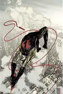 Book cover of Daredevil, Vol. 11