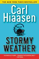 Book cover of Stormy Weather