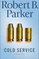 Book cover of Cold service
