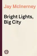 Book cover of Bright lights, big city