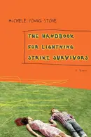 Book cover of The handbook for lightning strike survivors
