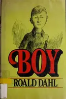 Book cover of Boy