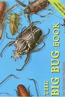 Book cover of The Big Bug Book