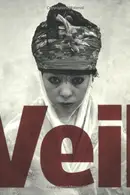 Book cover of Veil