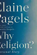Book cover of Why religion?