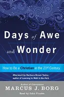 Book cover of Days of Awe and Wonder Lib/E