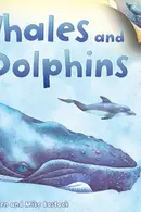 Book cover of I wonder why flip the flaps whales and dolphins