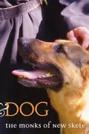 Book cover of I & Dog