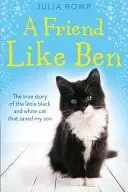 Book cover of A Friend Like Ben: The true story of the little black and white cat that saved my son