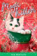 Book cover of A Christmas Surprise