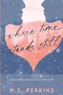 Book cover of Where Time Stands Still