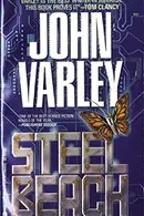 Book cover of Steel Beach