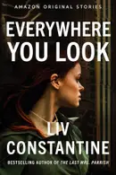 Book cover of Everywhere You Look