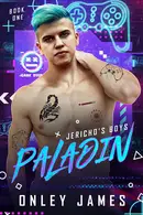 Book cover of Paladin