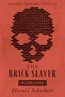 Book cover of The Brick Slayer