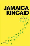 Book cover of Min bror