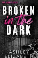 Book cover of Broken in the Dark