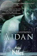 Book cover of Aidan