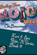 Book cover of Kari & Levi