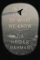 Book cover of In the Light of What We Know