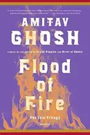 Book cover of Flood of Fire