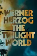 Book cover of The Twilight World