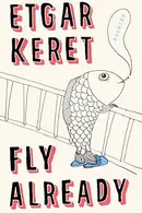 Book cover of Fly Already