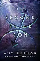 Book cover of The Second Blind Son