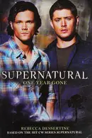 Book cover of One Year Gone