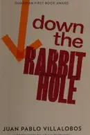 Book cover of Down the Rabbit Hole