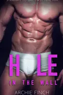 Book cover of Hole in the Wall