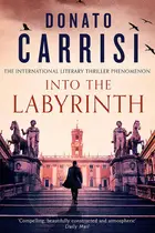 Book cover of Man of the Labyrinth