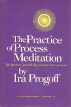 Book cover of The Practice of Process Meditation