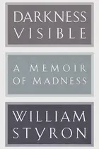Book cover of Darkness Visible