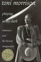 Book cover of Playing in the Dark