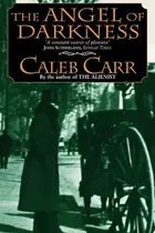 Book cover of The Angel of Darkness