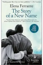 Book cover of Storia del nuovo cognome