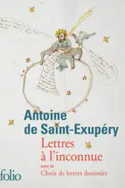 Book cover of Lettres à l'inconnue/Choix de lettres dessinées
