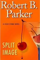 Book cover of Split Image