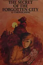 Book cover of The secret of the forgotten city