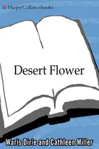 Book cover of Desert Flower
