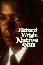 Book cover of Native Son