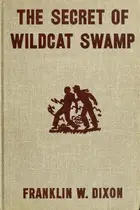 Book cover of The Secret of Wildcat Swamp