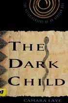 Book cover of Enfant noir