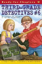 Book cover of The Secret of the Green Skin