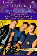 Book cover of Boys in blue