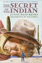 Book cover of The secret of the Indian
