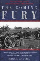 Book cover of The coming fury