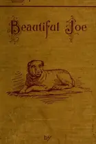 Book cover of Beautiful Joe