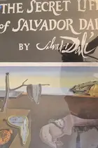 Book cover of The secret life of Salvador Dali